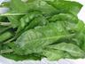 Spinach: Perpetual
