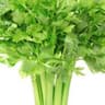 Celery Cooking