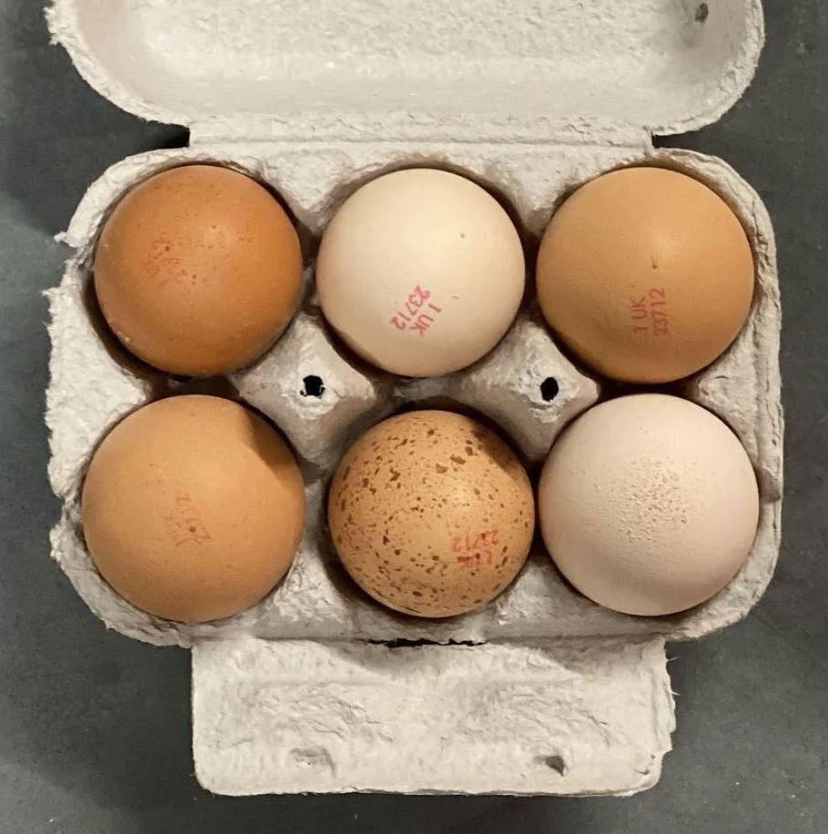 Our Own Free Range Eggs (6) – Laid in Lockerley by Happy Farm Hens