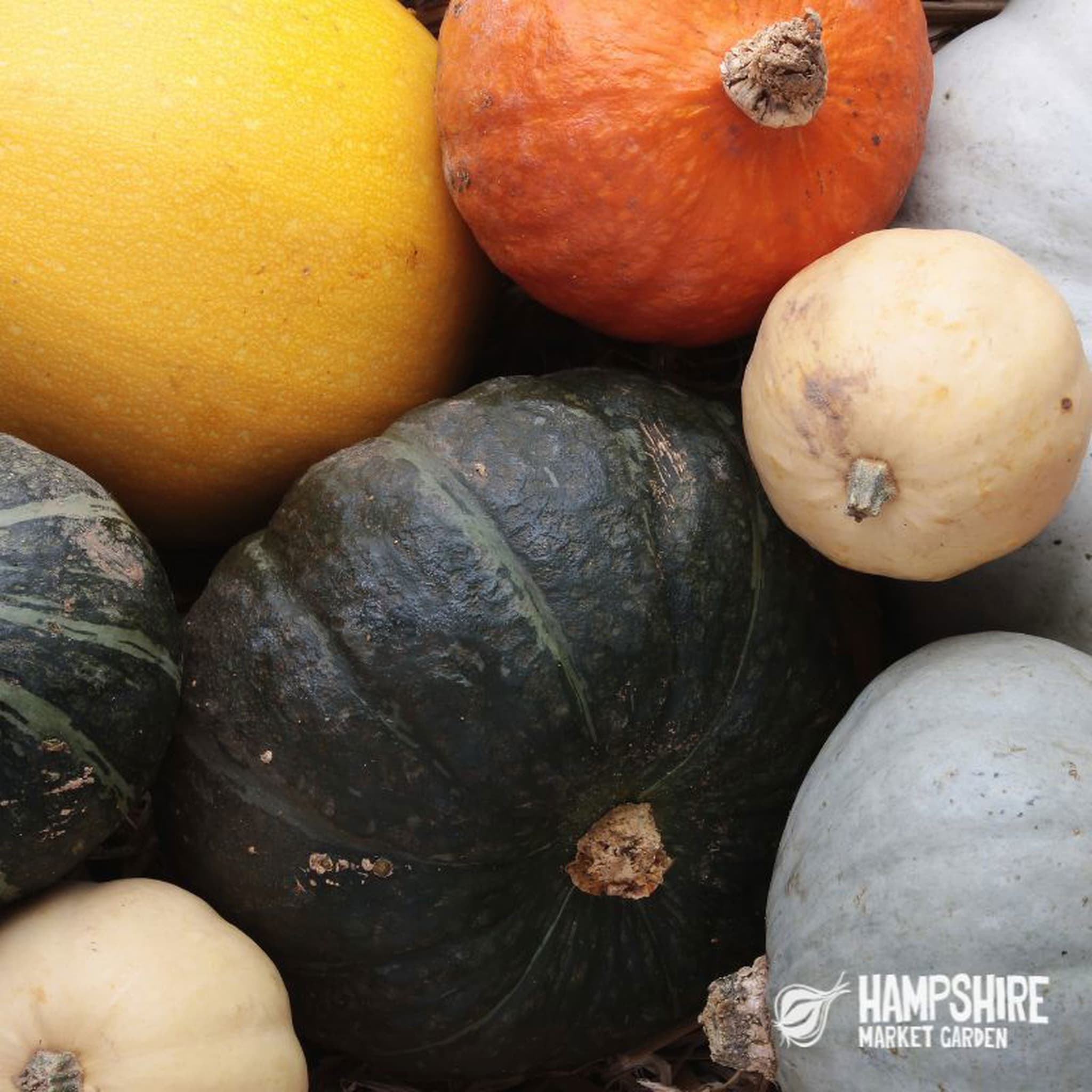 A Squash Selection Box (5kg)