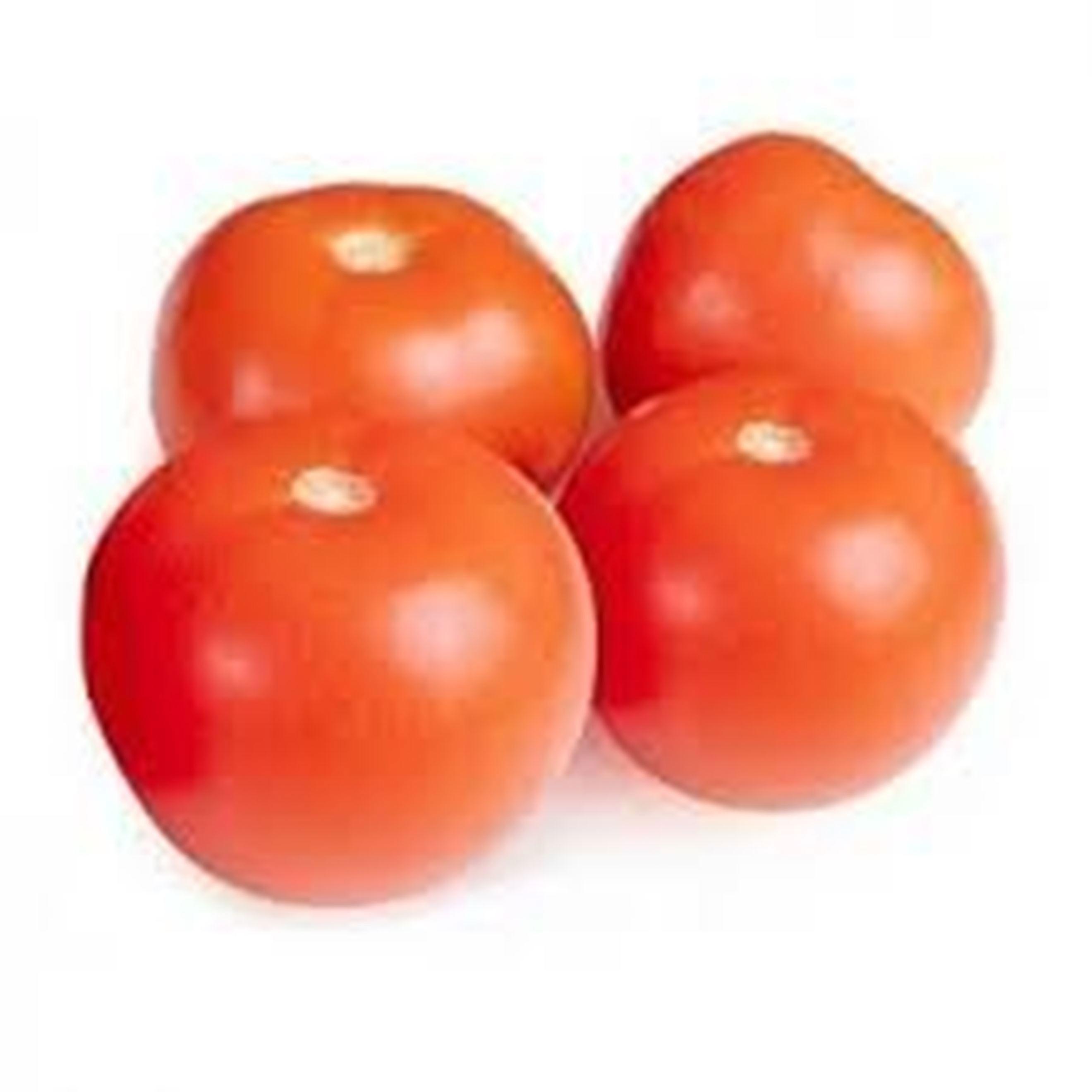Organic Round Salad Tomatoes – Juicy, Flavourful & Grown in Hambledon