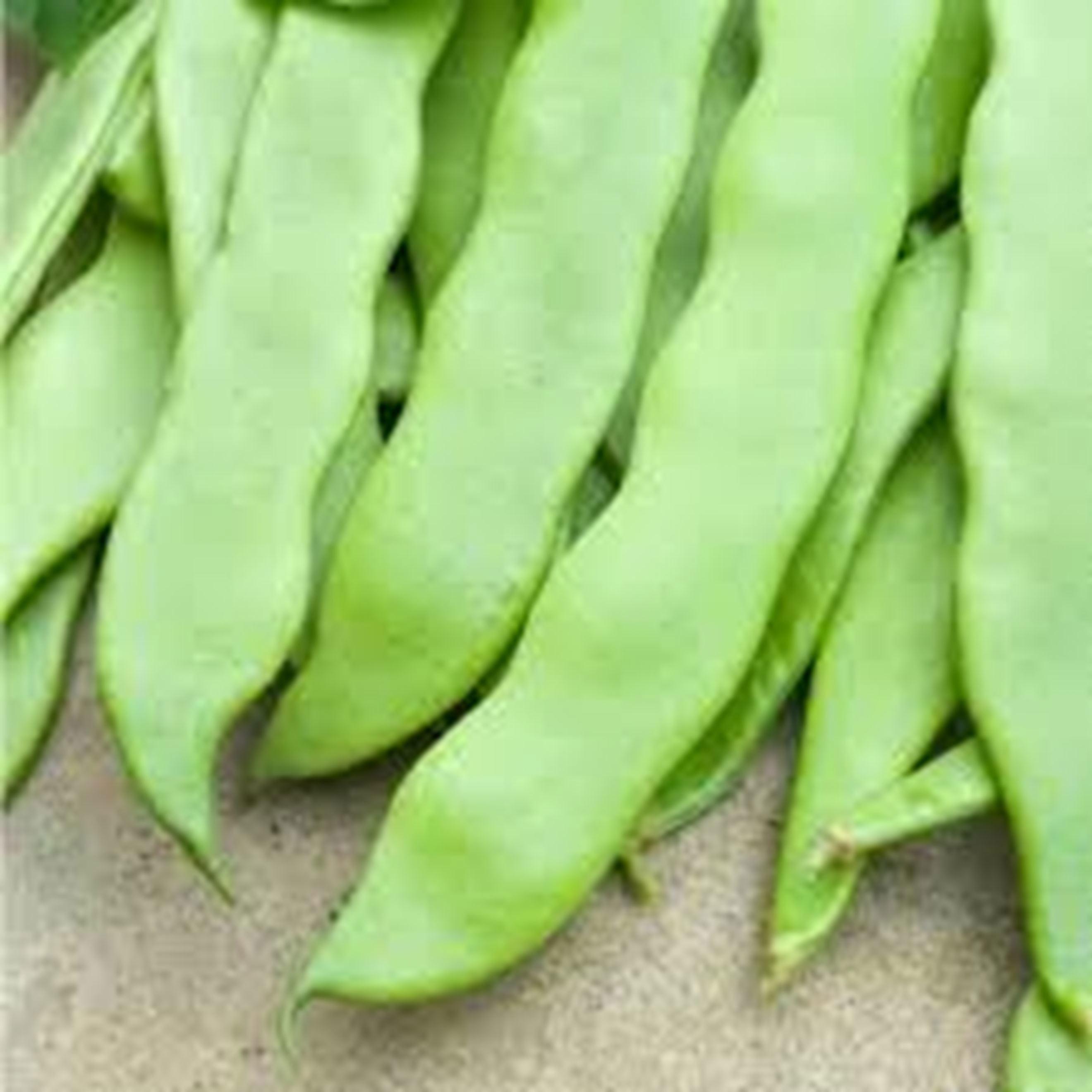 Flat Beans