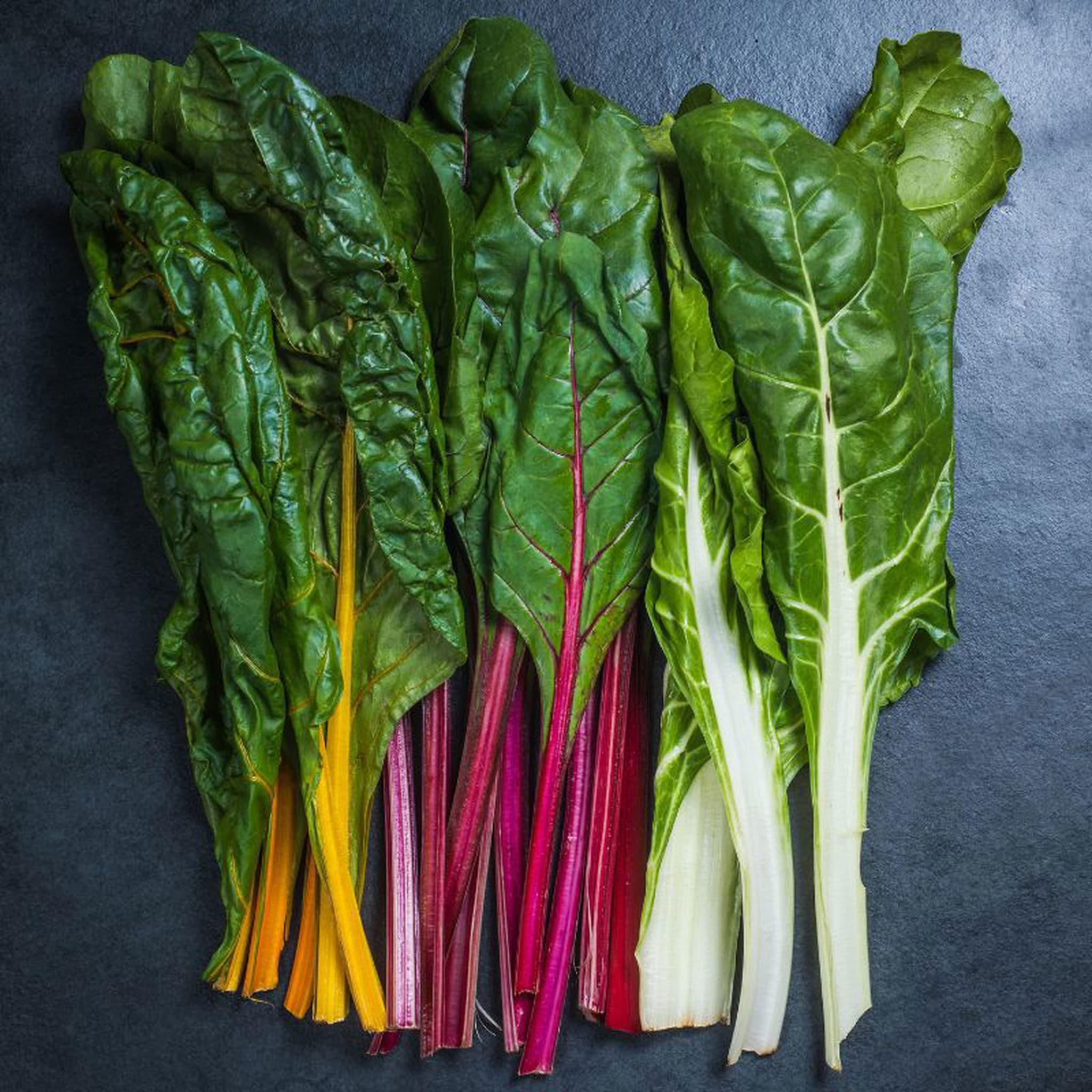 Organic Rainbow Chard – Colourful, Nutritious & Hampshire-Grown