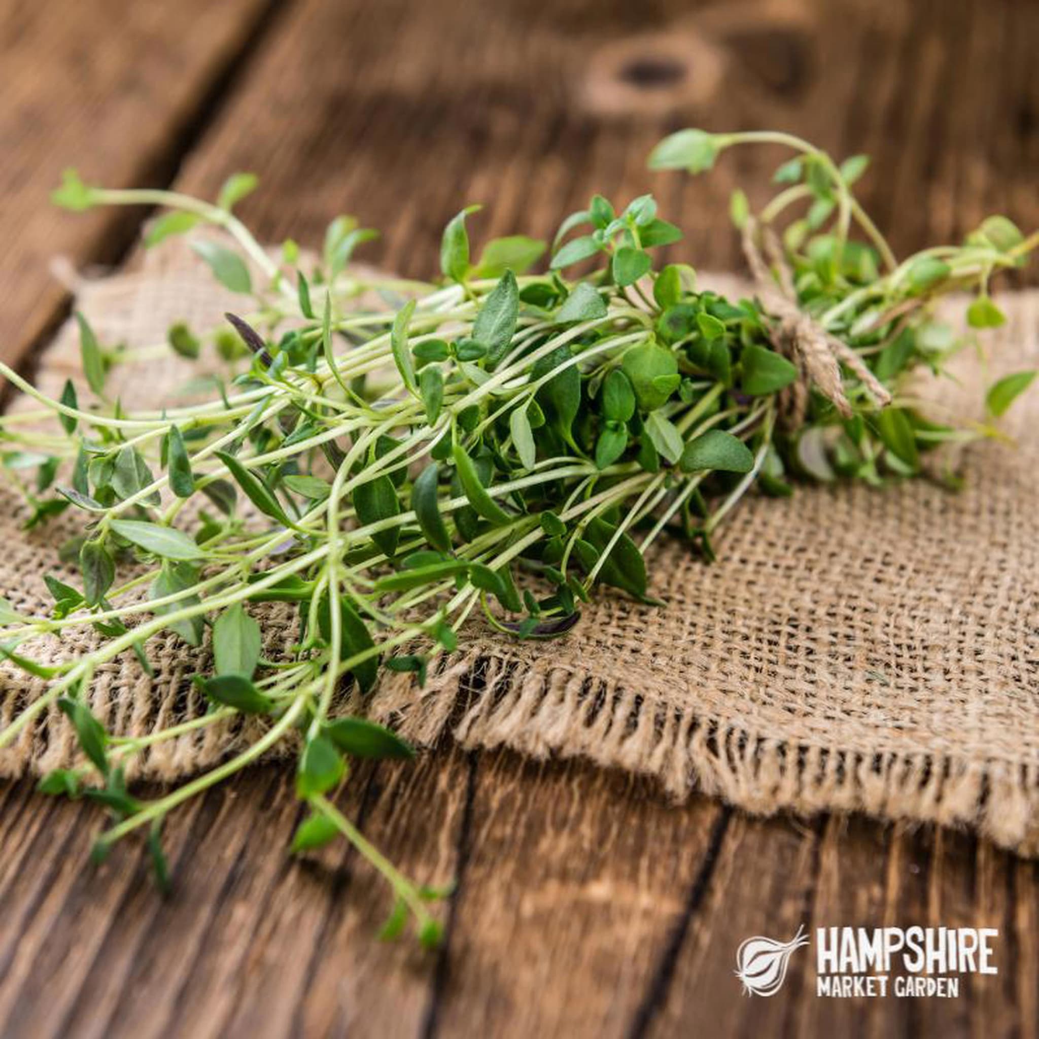 Fresh Thyme, Fragrant, Freshly Cut and Grown in Hampshire